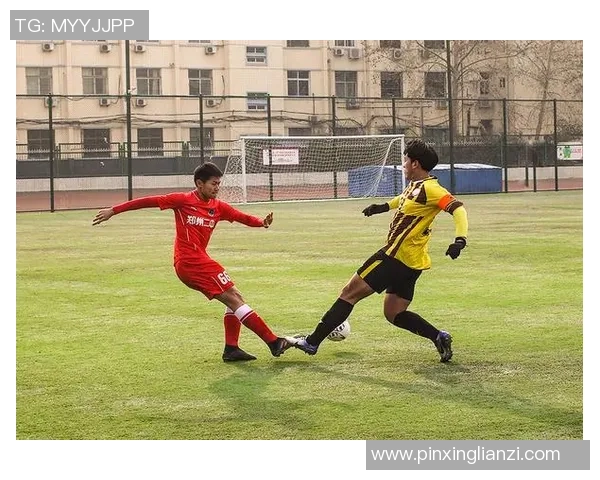 南京羽毛球队的力量变革引发热议探索新战略与未来发展方向